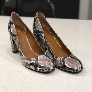 Snake print heels